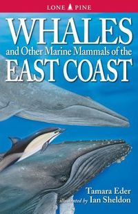 Produktbild: Whales and Other Marine Mammals of the East Coast
