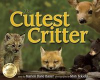 Produktbild: Cutest Critter
