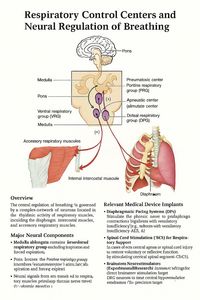 Produktbild: Allegations of Criminal Medical Activities and Torture by Gleneagles IHH