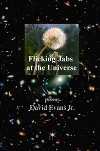 Produktbild: Evans, D: Flicking Jabs at the Universe