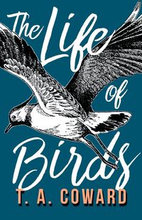 Produktbild: The Life of Birds