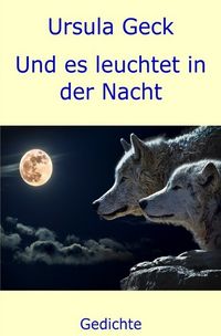 Produktbild: Und es leuchtet in der Nacht