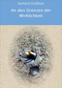 Produktbild: An den Grenzen der Wirklichkeit