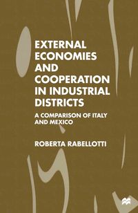 Produktbild: External Economies and Cooperation in Industrial Districts