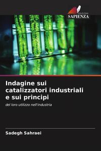 Produktbild: Indagine sui catalizzatori industriali e sui principi