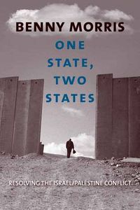 Produktbild: One State, Two States: Resolving the Israel/Palestine Conflict