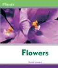 Produktbild: Flowers