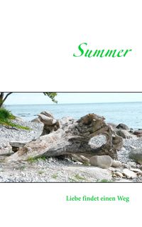 Bild vom Artikel Summer vom Autor Antje Steffen