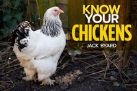Produktbild: Know Your Chickens