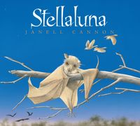 Produktbild: Stellaluna Board Book