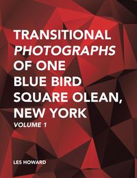 Produktbild: Transitional Photographs of One Blue Bird Square Olean, New York