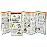 Produktbild: Common Wildflowers of the Mid-Atlantic