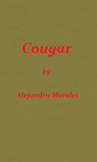 Produktbild: Cougar