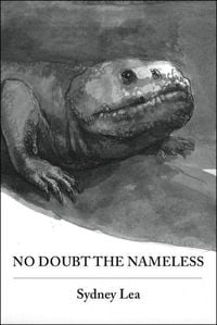 Produktbild: No Doubt the Nameless