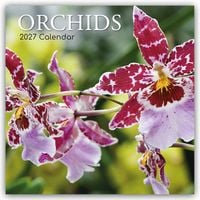 Produktbild: Orchids &ndash; Orchideen 2027 &ndash; 16-Monatskalender