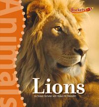 Produktbild: Lions