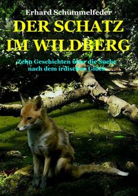Produktbild: Der Schatz im Wildberg