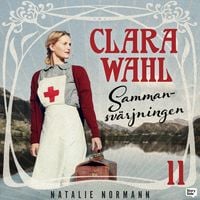 Produktbild: Sammansv&auml;rjningen