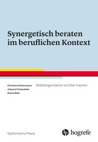 Produktbild: Synergetisch beraten im beruflichen Kontext
