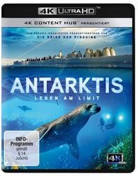 Produktbild: Antarktis - Leben am Limit (4K Ultra HD)
