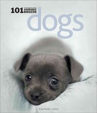 Produktbild: Dogs 101 Adorable Breeds