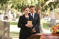 Bones - Season 12  [3 DVDs]