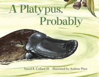 Produktbild: A Platypus, Probably