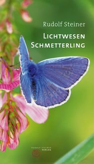 Bild vom Artikel Lichtwesen Schmetterling vom Autor Rudolf Steiner