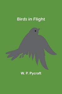 Produktbild: Birds in Flight