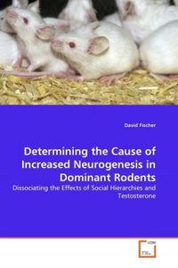 Produktbild: Fischer, D: Determining the Cause of Increased Neurogenesis