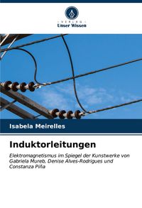 Produktbild: Induktorleitungen
