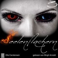 Produktbild: Seelenflackern 3