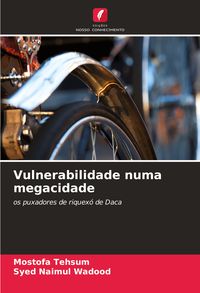 Produktbild: Vulnerabilidade numa megacidade