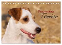Produktbild: Faszination Terrier (Tischkalender 2026 DIN A5 quer), CALVENDO Monatskalender
