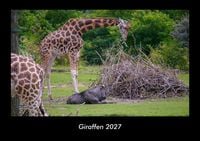 Produktbild: Giraffen 2027 Fotokalender DIN A3