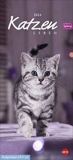 Whiskas Katzenleben Kalender 2024. Süße Kätzchen in allen Lebenslagen in einem Wandkalender 2024 zum Eintragen. Immer den Überblick über alle Ter von |Heye