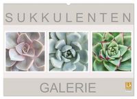 Produktbild: Sukkulenten Galerie (Wandkalender 2027 DIN A2 quer), CALVENDO Monatskalender