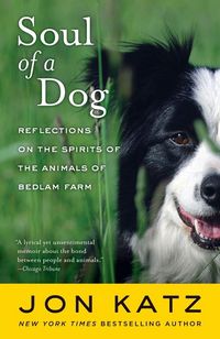 Produktbild: Soul of a Dog