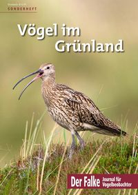 Bild vom Artikel Vögel im Grünland vom Autor 