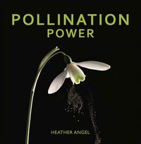 Produktbild: Pollination Power