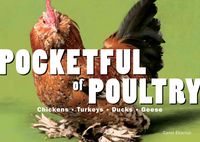 Produktbild: Pocketful Of Poultry
