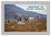 Produktbild: Rentiere im Hohen Norden (Wandkalender 2026 DIN A2 quer), CALVENDO Monatskalender