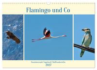 Produktbild: Flamingo und Co - Faszinierende Vogelwelt S&uuml;dfrankreichs (Wandkalender 2027 DIN A3 quer), CALVENDO Monatskalender
