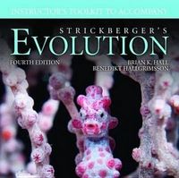 Produktbild: Itk- Strickbergers Evolution 4