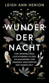 Produktbild: Wunder der Nacht