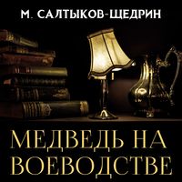 Produktbild: The Bear in the Voivodeship