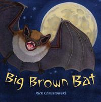 Produktbild: Big Brown Bat