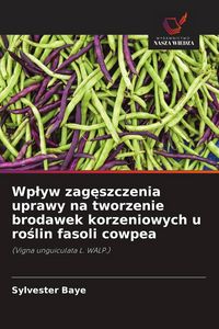 Produktbild: Wp&iquest;yw zag&iquest;szczenia uprawy na tworzenie brodawek korzeniowych u ro&iquest;lin fasoli cowpea