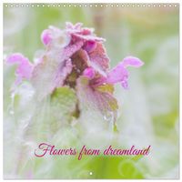 Produktbild: Flowers from dreamland (Wall Calendar 2026 12 &times; 12 Inch) CALVENDO 12 Month Wall Calendar