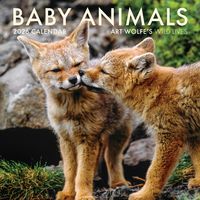 Produktbild: 2026 Baby Animals Wall Calendar